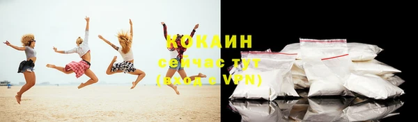 прущий лед Богданович