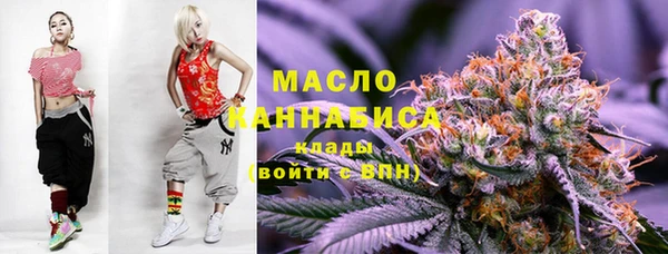 spice Богородск