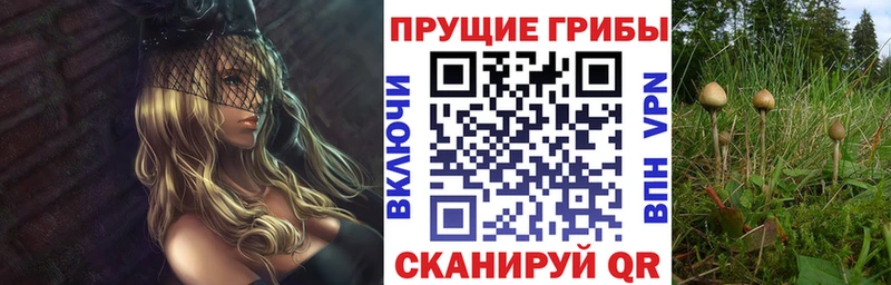 Галлюциногенные грибы мицелий  Дюртюли 